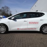 Kia Fleet Graphics